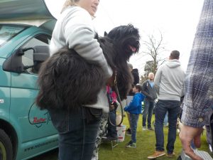 Stanford_Hall_Retro_Tourer_May16_011