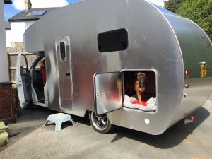 storage dog bed camper